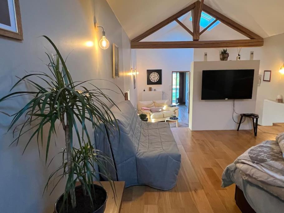 5 Mn Vienne, Confort Et Calme A La Campagne Reventin-Vaugris Extérieur photo